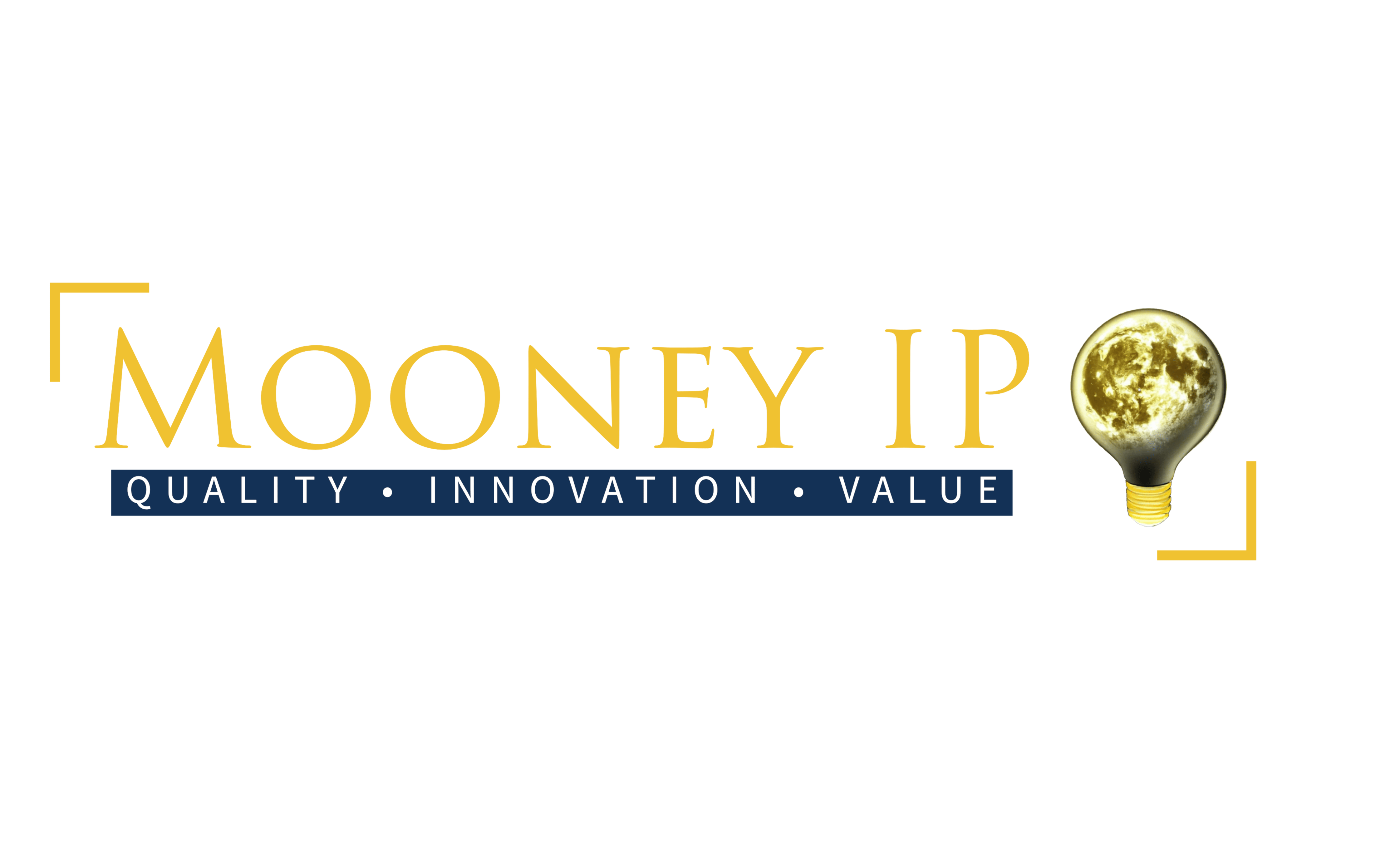 Mooney IP Patent Cost Quality Innovation Value